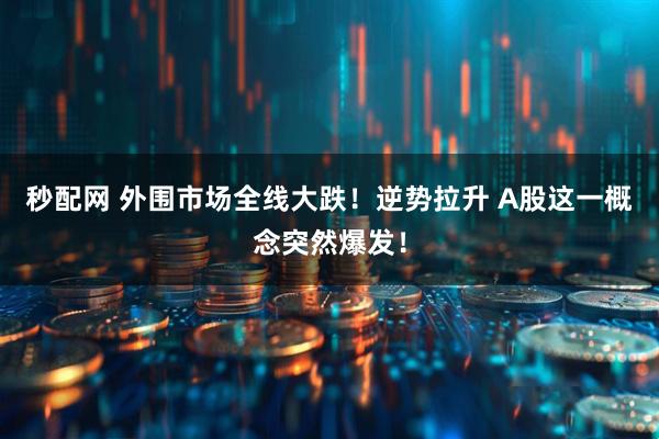 秒配网 外围市场全线大跌！逆势拉升 A股这一概念突然爆发！