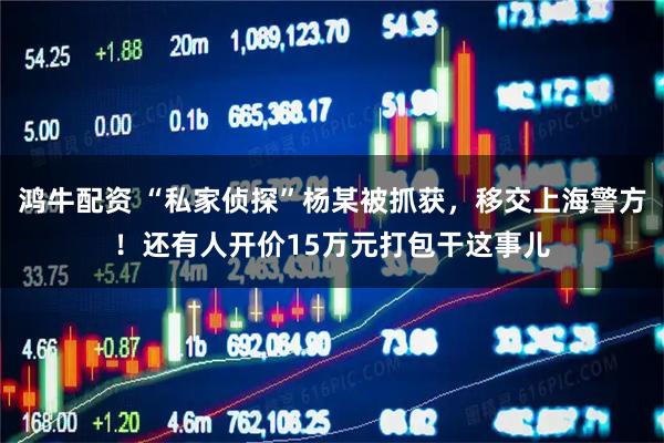 鸿牛配资 “私家侦探”杨某被抓获，移交上海警方！还有人开价15万元打包干这事儿